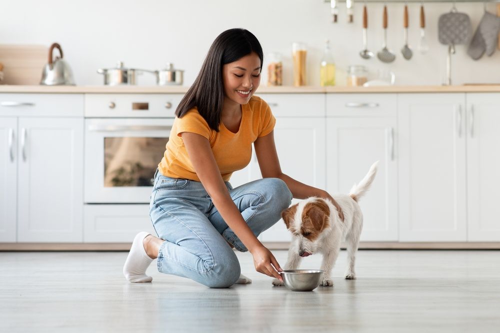 A young woman holds down a dog bowl to feed her dog in her kitchen